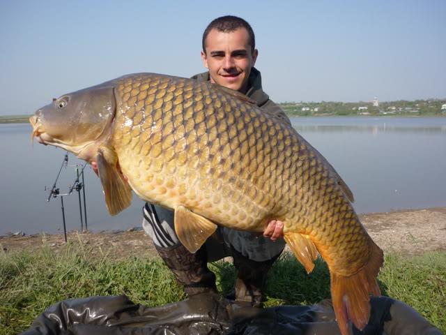  Capturi Sarulesti  - 4.jpg